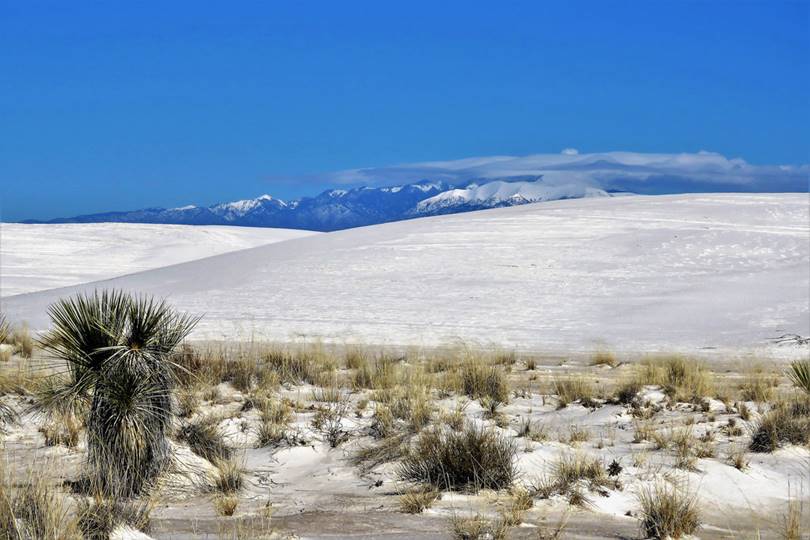 Chihuahuan Desert, The  Land of Massive Gypsum White Sand Dunes, The Chihuahuan desert, Chihuahuan desert temperature and Desert species, Texas deserts,