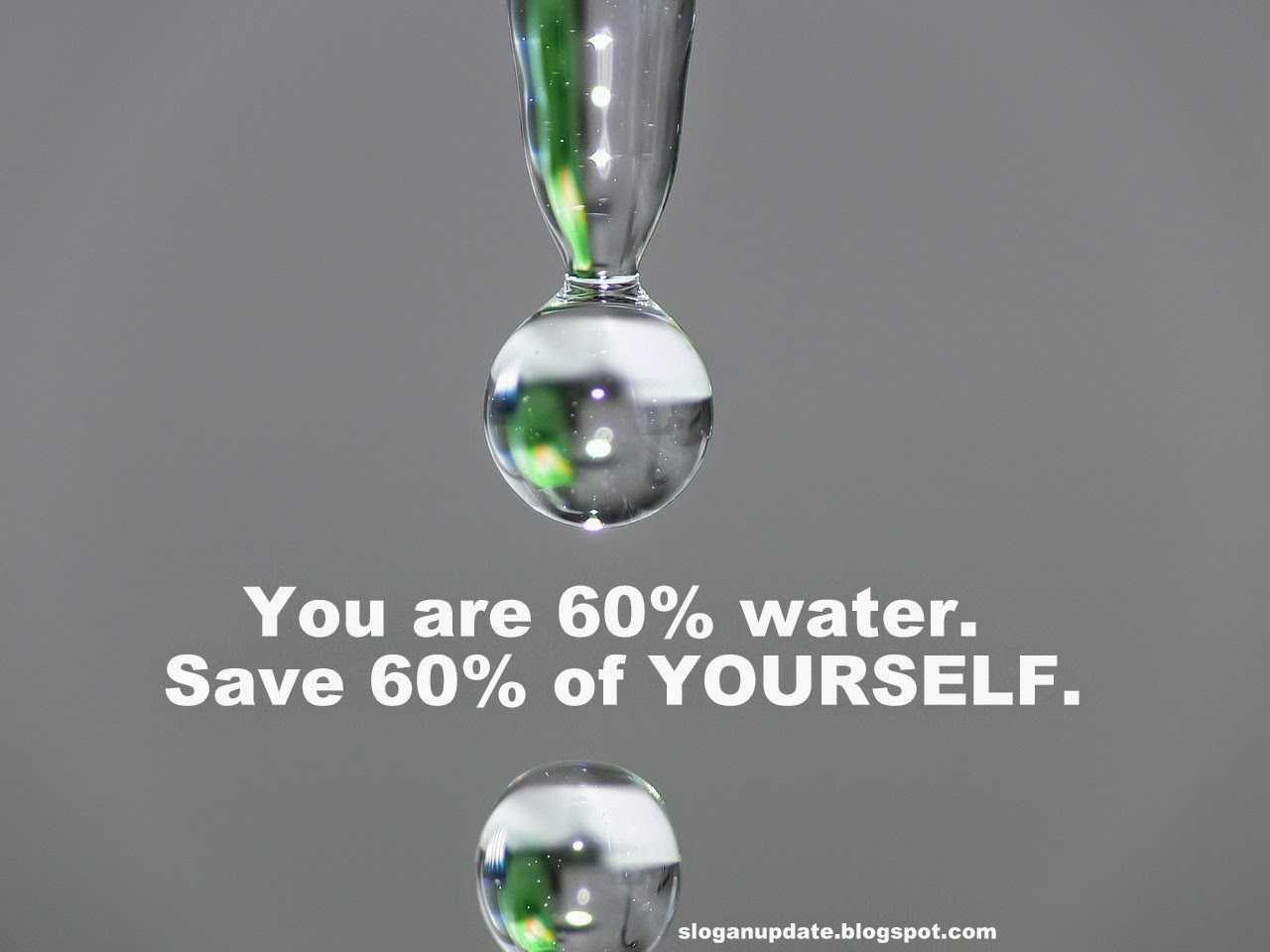 Water Slogans