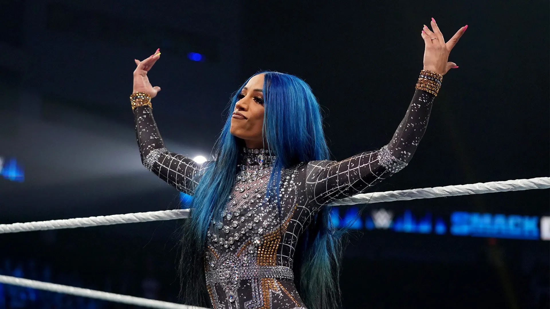 Sasha Banks' Asking Price For Signing With A Wrestling Promotion Revealed