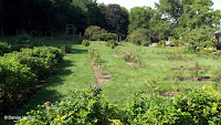 Pardee Rose Garden overview - East Rock Park, New Haven, CT