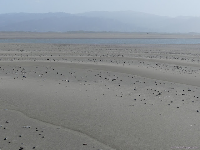 large patterns in the wind blown sand