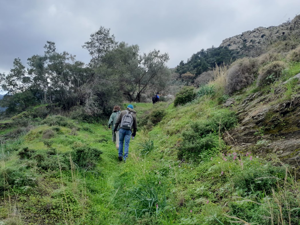 Λόγω αχρησίας, η λιθόστρωτη ρύμη από τον Κάμπο για την Πηγή έχει καλυφθεί από βλάστηση.