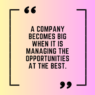 A company becomes big when it is managing the opportunities at the best