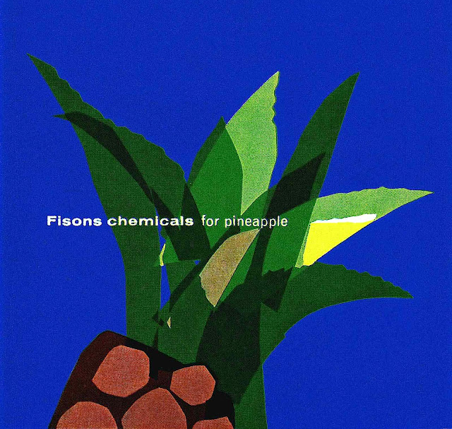 Fisons chemicals for pineapple illustration