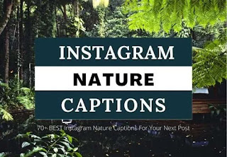 instagram nature captions