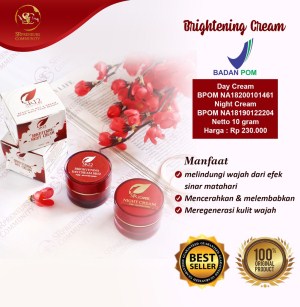 https://www.tokopedia.com/seisdigitalshop/pencerah-wajah-sr12-original-bpom-brightening-day-night-cream-terbaik