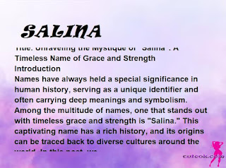 meaning of the name "SALINA"