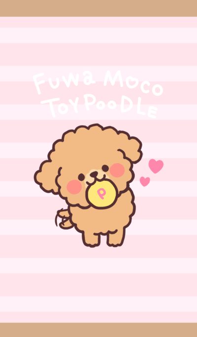 Line 个人原创主题 Fluffy Toy Poodle 3set