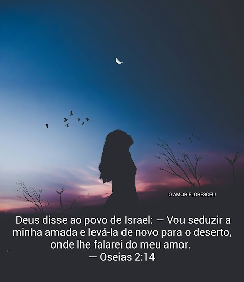 Amizade