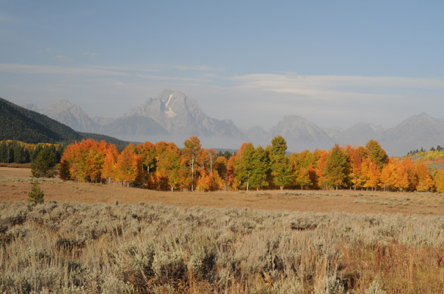 Autumn in Grand Teton NP