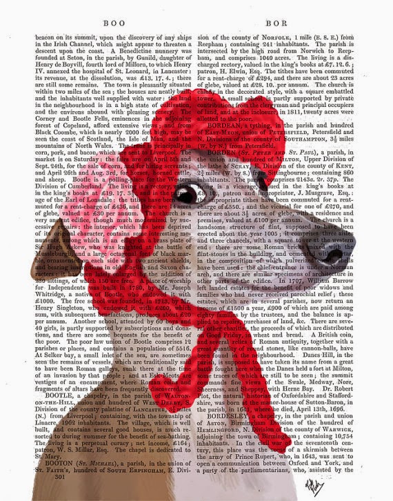 Greyhound with Red Wooly Hat illustration by Kelly Stevens on Etsy