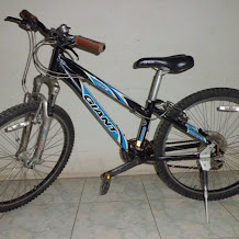 sepeda gunung