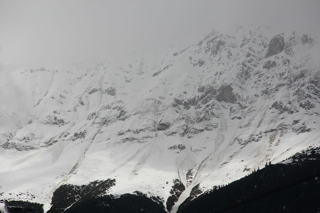 Numerose valanghe spontanee di neve bagnata a debole coesione sulla Nordkette sopra Innsbruck, causate dall'influenza delle radiazioni (diffuse). (Foto: 20.05.2021)