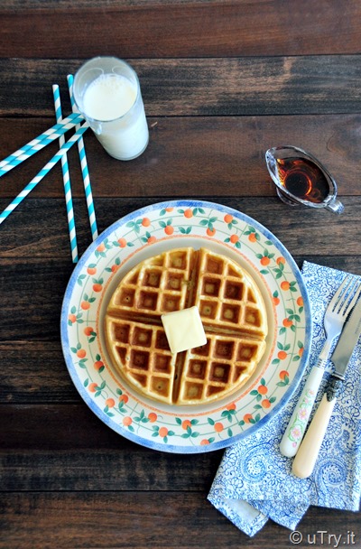Basic Waffles