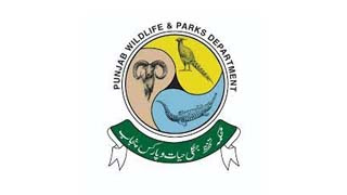 Punjab Wildlife and Parks Department Jobs 2022 Download Application Form