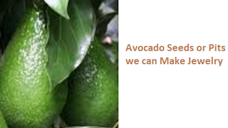 Avocado Seeds or Pits we can Make Jewelry