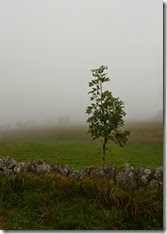 De la brûme, nous trouvons que c'est excellent pour les essais photographiques !