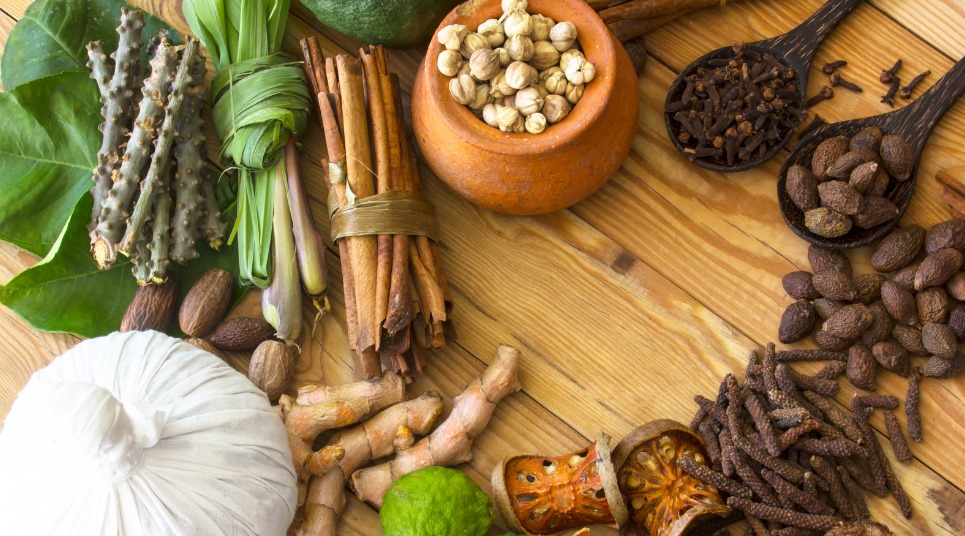 Embracing Nature's Remedies: Herbal Approaches to Everyday Ailments