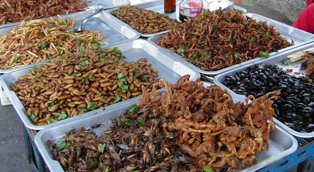 Cambodia most exotic foods, Deep fried insect