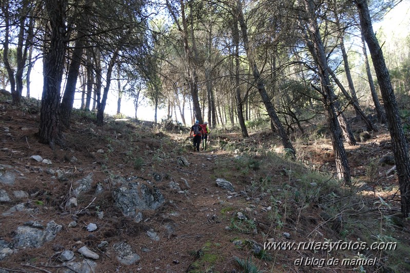 Ermita Virgen de las Nieves - Sendero de las Caleras - Cerro del Tocón - Fuente Janón