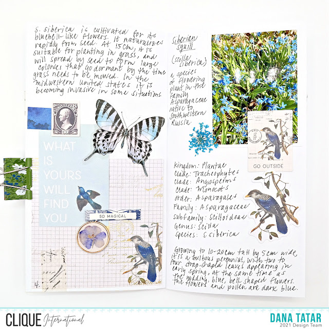 Siberian Squill Field Notebook Pages with Journaling Cards Stamps Pressed Flowers and Botanical Embellishments