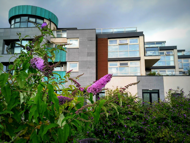 colourful view of Galway