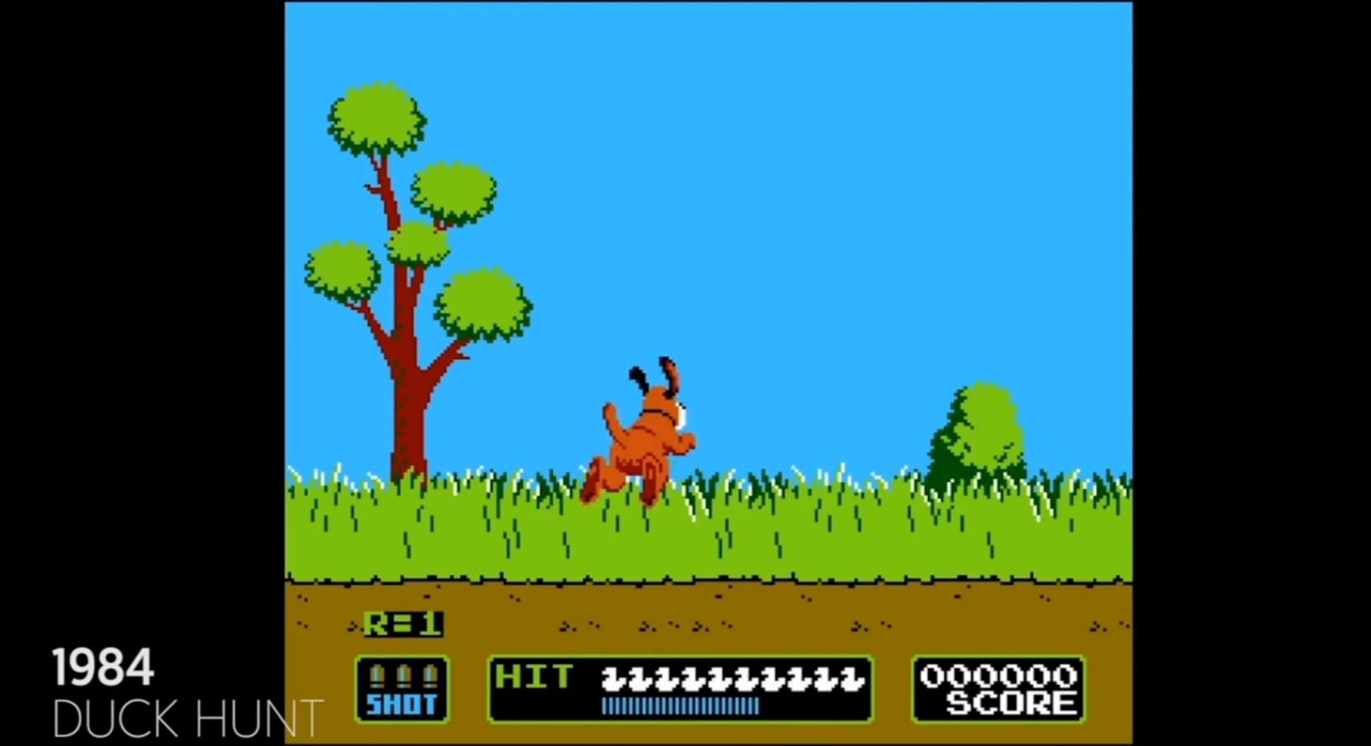 Duck hunt game