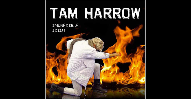 La copertina di ''Incredible Idiot'', ovvero: un nuovo album di Den Harrow nel 2015