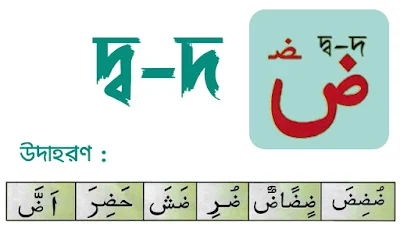 ছ্ব-দ(ছদ×) অক্ষর পরিচয়,  দ্ব-দ(দদ×) এর পরিচয় , দ্ব-দ(দদ×) ,dod  Arabic letter