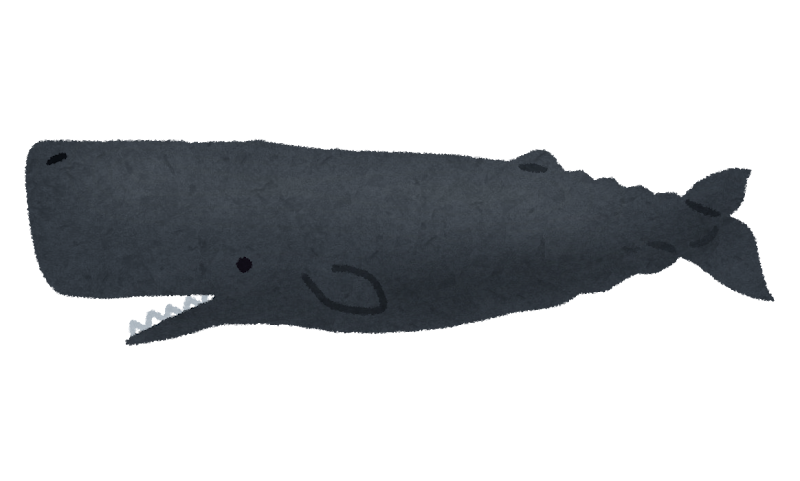 無料イラスト かわいいフリー素材集 マッコウクジラのイラスト 鯨