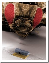 microrobo_robo_mosca