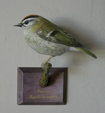 Firecrest Bird Papercraft Model by Johan Scherft