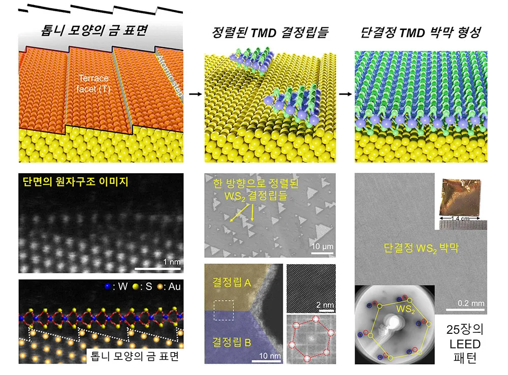 ▲ 단결정 2차원 반도체 합성 모식도 및 실제 실험 결과