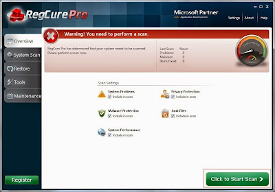 the screenshot of RegCure Pro's Overview tab