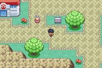 Pokemon Genesis Screenshot 05