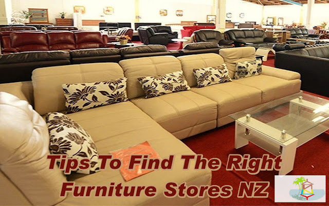 furniture stores NZ