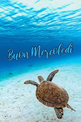 Immagini di Buon Mercoledì