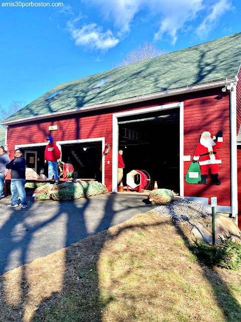 Holmes Tree Farm en Kennebunk, Maine