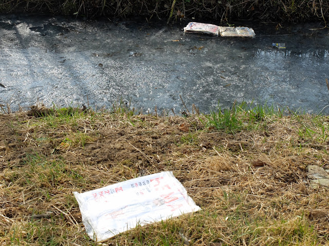 Excessieve hoeveelheden zwerfvuil, Marconistraat, Zevenaar. Foto: Robert van der Kroft, 6 maart 2018