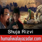 http://www.humaliwalayazadar.com/2015/09/shuja-rizvi-nohay-2009-to-2016.html