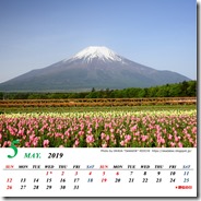 5月