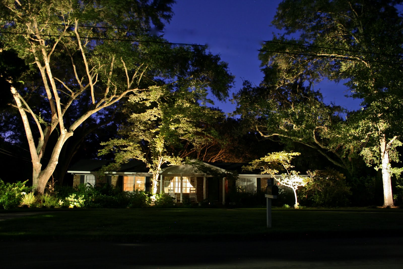 Carolina Landscape Lighting: LED or Incandescent  Landscape Lights