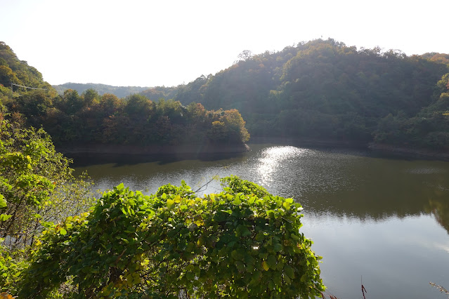 鳥取県西伯郡南部町朝金 朝鍋ダム