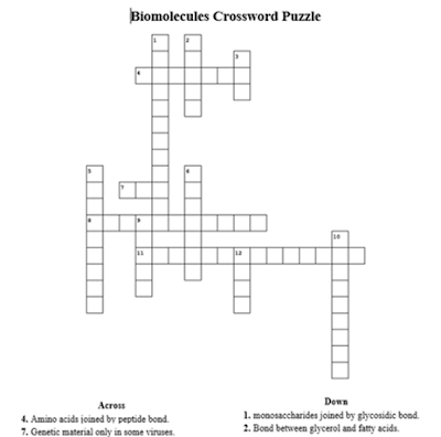 Biomolecules Crossword Puzzle with Answer key