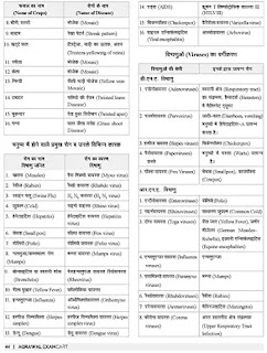 Examcart REET level 2 Books PDF DOWNLOAD