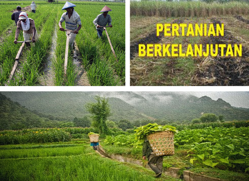 Ide Penting Pertanian Berkelanjutan, Truk Oleng