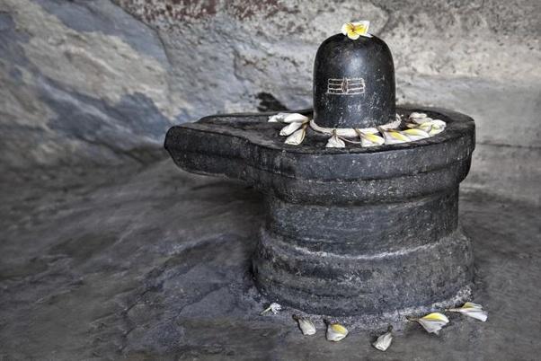 shiv image