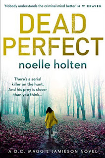 Book cover of Dead Perfect by Noelle Holten