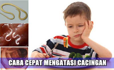 Obat Herbal Cacingan