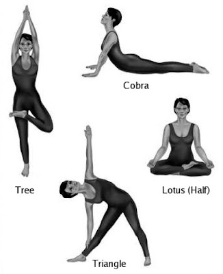 do yoga exercises